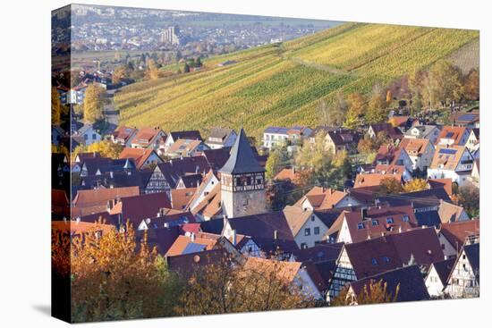 Strumpfelbach with Vineyards in Autumn, Baden Wurttemberg, Germany-Markus Lange-Stretched Canvas
