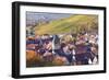 Strumpfelbach with Vineyards in Autumn, Baden Wurttemberg, Germany-Markus Lange-Framed Photographic Print