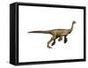 Struthiomimus Dinosaur-null-Framed Stretched Canvas