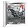 Strutting Black and White Rooster-Charles Bull-Framed Giclee Print