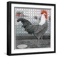 Strutting Black and White Rooster-Charles Bull-Framed Giclee Print