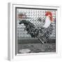 Strutting Black and White Rooster-Charles Bull-Framed Giclee Print