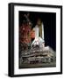 STS-28 Rollout Photograph - Cape Canaveral, FL-Lantern Press-Framed Art Print