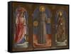 Sts Jerome-Antonio Vivarini-Framed Stretched Canvas