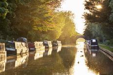 Narrowboats moored on the Kennet and Avon Canal at sunset, Kintbury, Berkshire, England-Stuart Black-Mounted Photographic Print