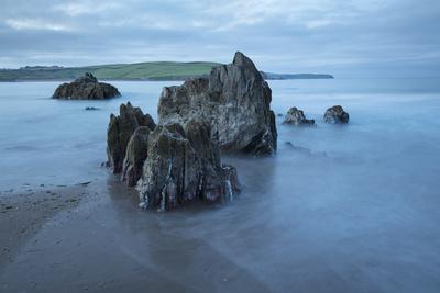 Rocks on beach at low tide at dawn, Bigbury-on-Sea, Devon, England, United Kingdom, Europe