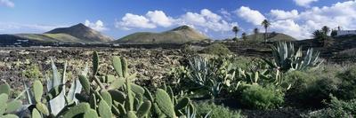 View over the volcanic landscape of Parque Natural de Los Volcanes, La Geria, Lanzarote-Stuart Black-Mounted Photographic Print