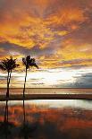 Palm trees silhouetted against red clouds during sunset over a beach at Flic en Flac-Stuart Forster-Photographic Print