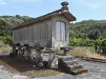 Traditional Elevated Stone Granary (Espigueiro), Used for Storing Corn, Close to the Village of Soa-Stuart Forster-Photographic Print