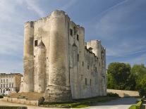 Medieval Donjon in the Centre of Niort, Deux-Sevres, Poitou Charentes, France, Europe-Stuart Hazel-Stretched Canvas