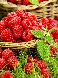 Fresh Raspberries in Two Baskets-Stuart MacGregor-Framed Photographic Print