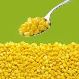 Tinned Sweetcorn on a Spoon-Stuart MacGregor-Photographic Print