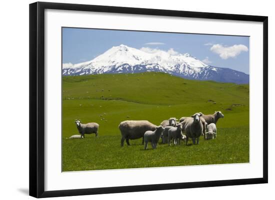 Premium Photographic Print, , large