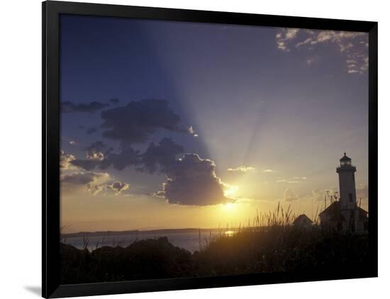 Premium Photographic Print, , large