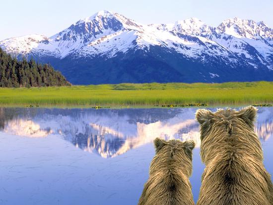 Photographic Print, , large