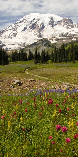 Premium Photographic Print, , large