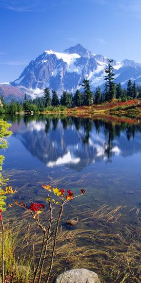 Premium Photographic Print, , large
