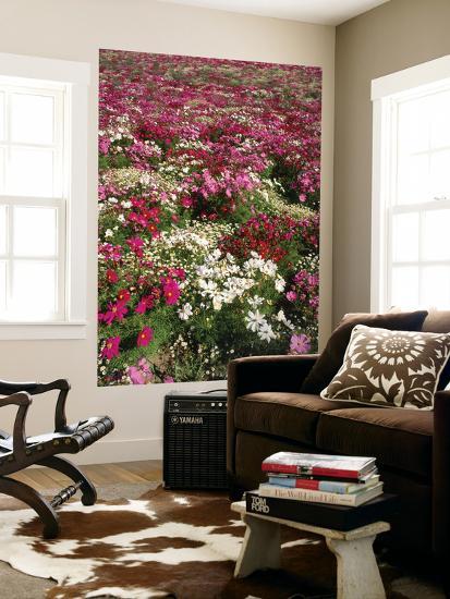 Giant Art Print, , large