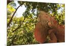 Wood Mount
