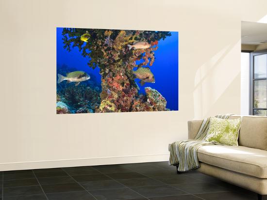 Giant Art Print, , large