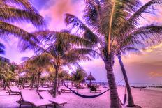 Holbox Island, Yucatan Peninsula, Quintana Roo, Mexico. HDR effect view of palm trees, beach and ha-Stuart Westmorland-Photographic Print