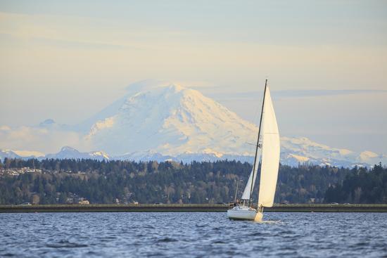 Photographic Print, , large