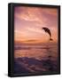 Essential Black