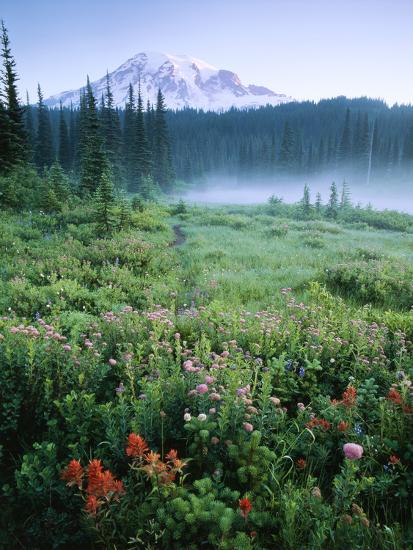 Premium Photographic Print, , large