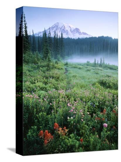 Stretched Canvas Print, , large