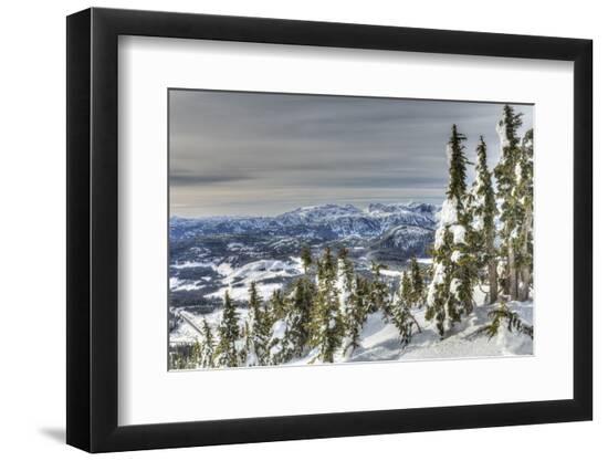 Premium Photographic Print, , large