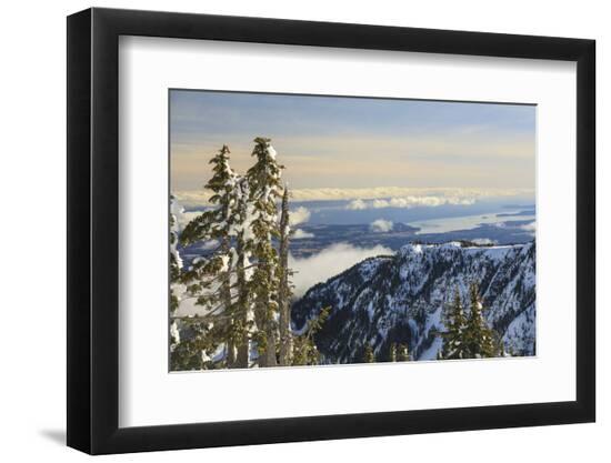 Premium Photographic Print, , large