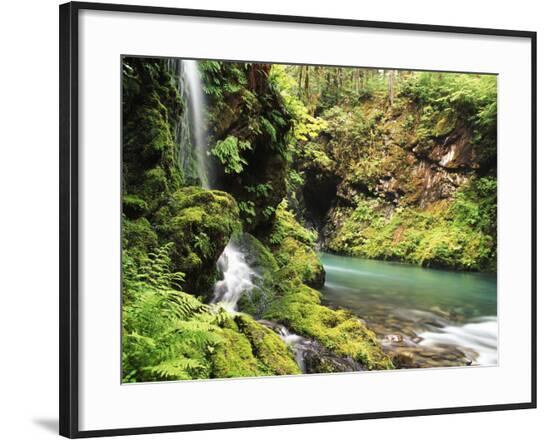 Framed Photographic Print, , large