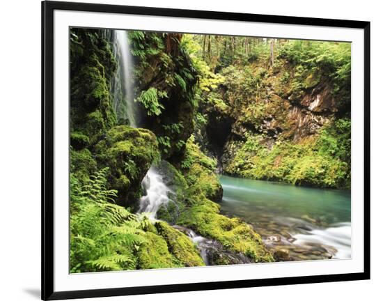 Framed Photographic Print, , large