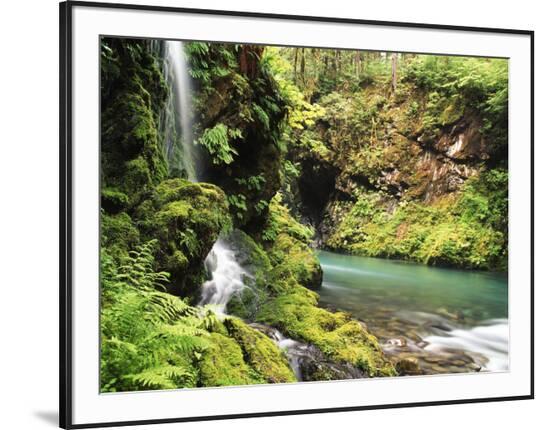 Framed Photographic Print, , large