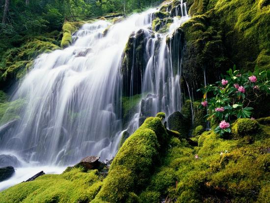 Premium Photographic Print, , large