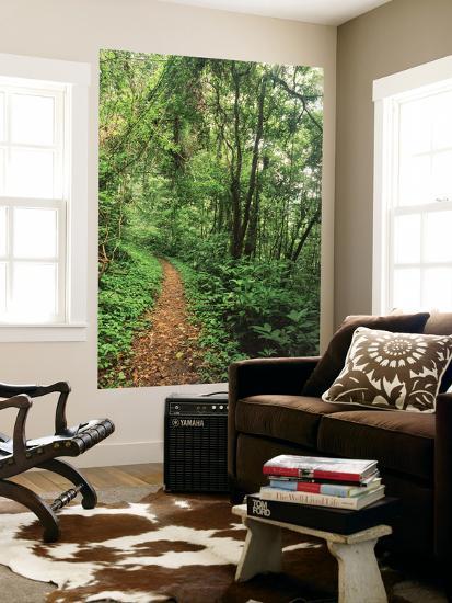 Giant Art Print, , large