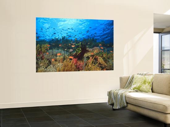 Giant Art Print, , large