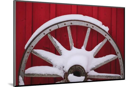 Photographic Print, , large