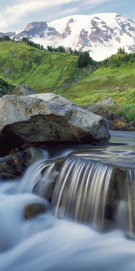 Premium Photographic Print, , large