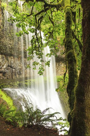 Premium Photographic Print, , large