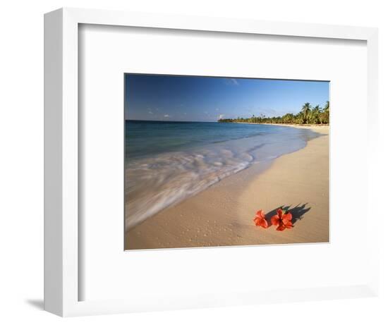 Framed Photographic Print, , large