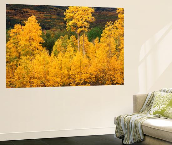 Giant Art Print, , large