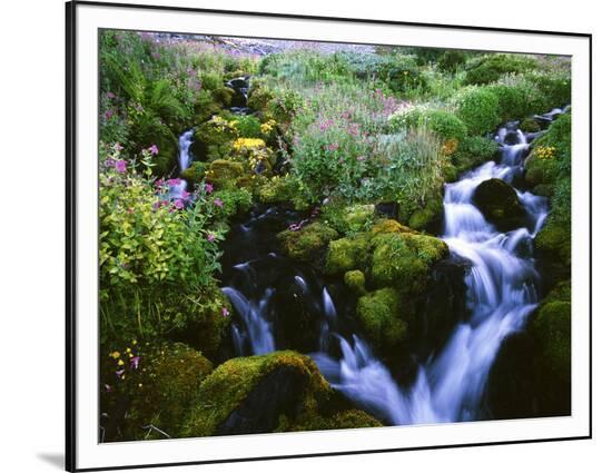 Framed Photographic Print, , large