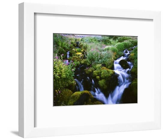 Framed Photographic Print, , large