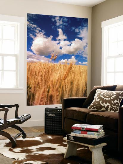 Giant Art Print, , large