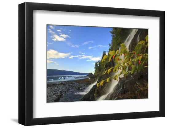 Premium Photographic Print, , large