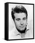 Stuart Whitman-null-Framed Stretched Canvas