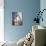 Stuart Whitman-null-Photo displayed on a wall