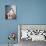 Stuart Whitman-null-Photo displayed on a wall