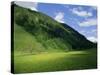 Stubachtal Valley, Hohe Tauern National Park, Salzburgland, Austrian Alps, Austria, Europe-Richard Nebesky-Stretched Canvas